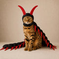 Spooky Centipede Cat Costume